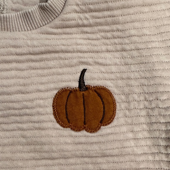Petit Lem Baby Pumpkin Sweater and Pants 2 Piece Set - Picture 4 of 12